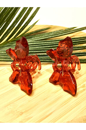 Monalisa Home 2 Li 4.5 cm  Renkli Lüks Kelebek Toka