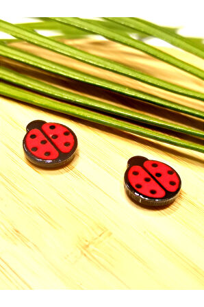 Monalisa Home Pırlanta  Mıknatıslı  (Delik olmayan Kulaklar İçin)  Unisex Çelik Küpe