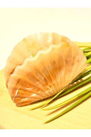 Monalisa Home 8 cm Lüks Renkli Parlak Kıstırma Toka