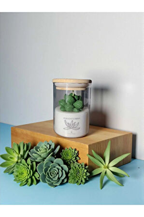 Sukulent Lavanta Kokulu Bambu Kapaklı Soya Mum