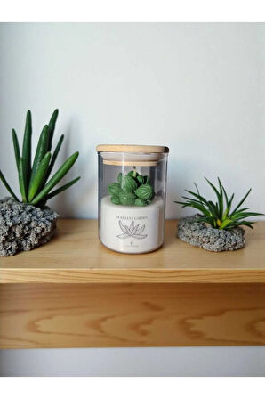 Sukulent Lavanta Kokulu Bambu Kapaklı Soya Mum