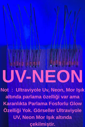 ea genset Çapari, İstavrit Çaparisi, 20x12 Beden, Ultraviyole Uv Neon Koyu Yeşil - Pembe Sim, 11 No Beyaz İğne, 10 İğneli 2li Paket
