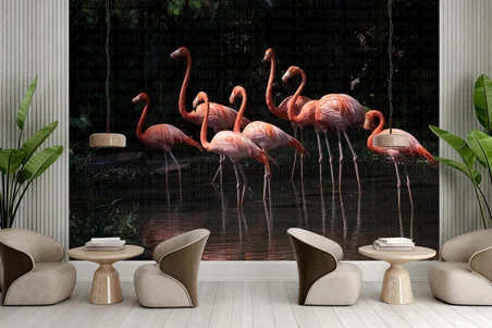 Flamingo sürüsü poster duvar kağıdı