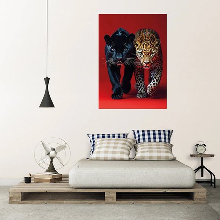 Kırmızı zemin jaguar panter poster
