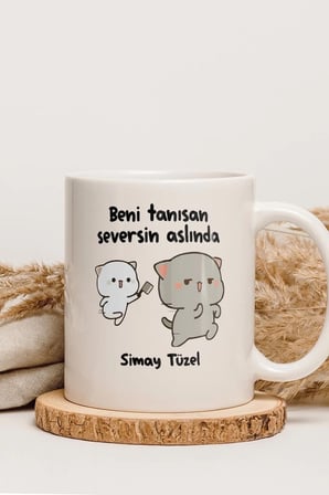 Alya Gift Shop Kişiye Özel Tanısan Seversin Kupa Bardak