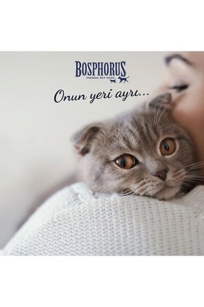 Kuzu Etli Atıştırmalık Kedi Ödülü 80 gram x 3 Adet