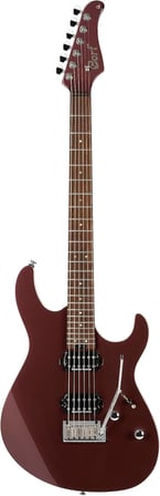 Gitar G300PRO VVB