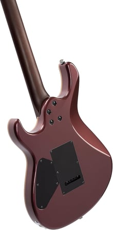 Gitar G300PRO VVB