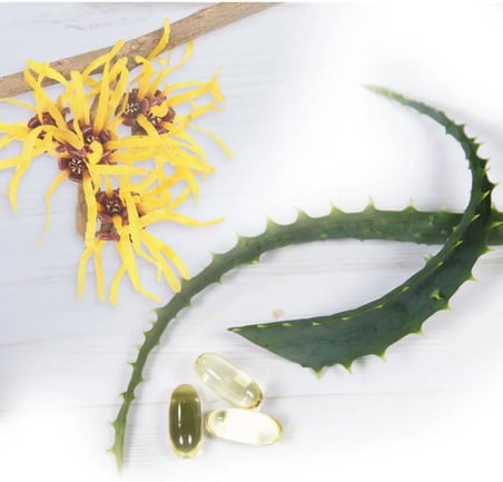 Witch Hazel Gül Suyu İçeren Nemlendirici Tonik 473ML