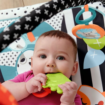 Neşeli Hayvanlar 3'ü 1 Arada Jimnastik Merkezi™ Fisher-Price Neşeli Hayvanlar 3'ü 1 Arada Jimnastik Merkezi oyun minderi HBP41