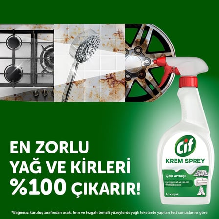 Krem Sprey Cok Amacli Amonyak Yuzey Temizleyici Yag Ve Kir Cikarici 750 Ml