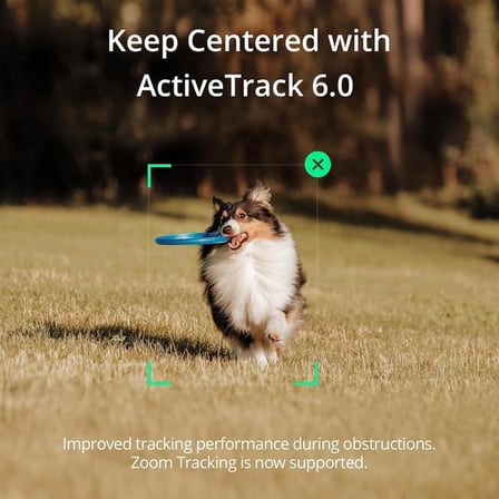 Osmo Mobile SE Akıllı Telefon Gimbal, 3 Eksenli Sabitleme, Katlanabilir, ShotGuides, Android ve iPhone Uyumlu, ActiveTrack 5.0