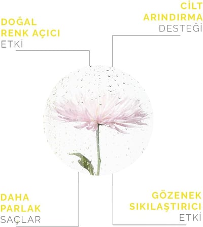farma doğal ürünler Gül Mayası - Suyu - Hidrosolü Tonik Yağı Alınmamış Içerik 100 ml (Papatya)