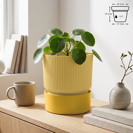 Saksı Dekoratif Tabaklı Çiçek Kaktüs Saksısı Mat Plastik (1 Adet, Sarı, 4 Litre)