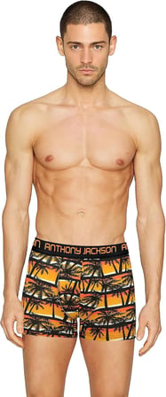 5'li-3'lü Kutu Desenli Premium Erkek Boxer Palm Horizon