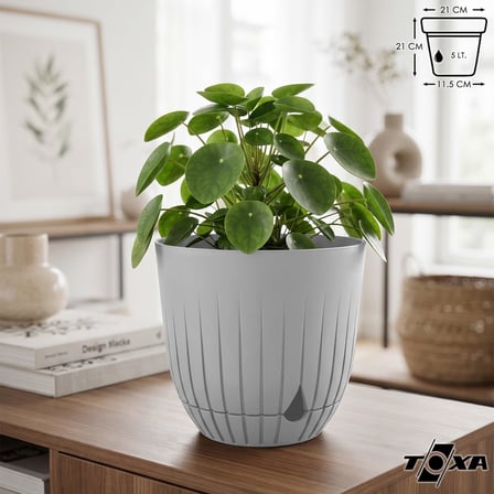 Saksı Plastik Delikli Tabaklı Çiçek Saksısı (1 Adet, Krem, 5 Litre)
