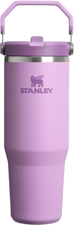 IceFlow Flip Straw Tumbler Pipetli Termos Bardak, 0.89 L