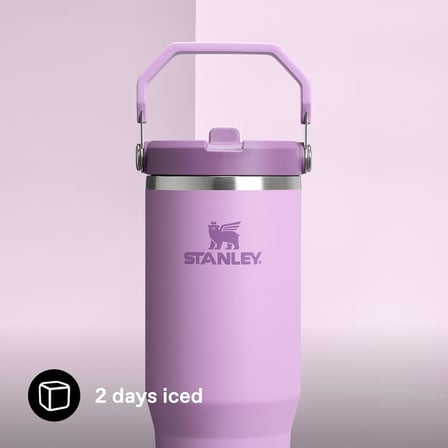 IceFlow Flip Straw Tumbler Pipetli Termos Bardak, 0.89 L