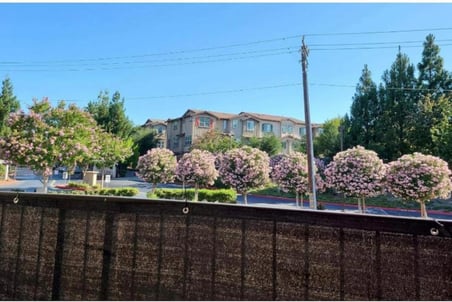 Demiri Perdesi Korkuluk Perdesi SİYAH File 80 X100 SİYAH 80 x 350