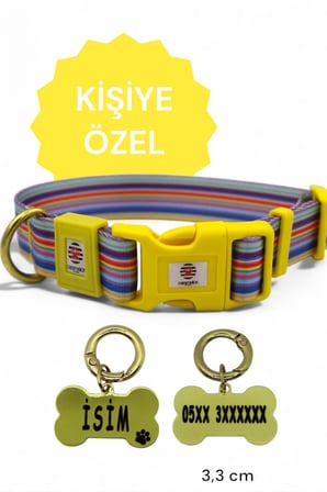 KÖPEK TASMA SETİ KİŞİYE ÖZEL KÜNYELİ İSİMLİ TASMA H TİPİ TASMA GÖVDE BOYUN GEZDİRME TASMASI DESEN 8-M