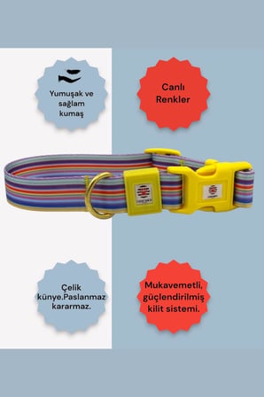 KÖPEK TASMA SETİ KİŞİYE ÖZEL KÜNYELİ İSİMLİ TASMA H TİPİ TASMA GÖVDE BOYUN GEZDİRME TASMASI DESEN 8-M