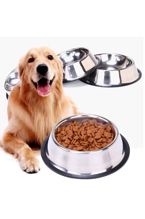 Paslanmaz Çelik Kedi Mama Ve Su Kabı, Köpek Çelik Mama Kabı, Kaymaz Lastikli Taban, Dayanıklı Besleme Tası, Kolay Temizlenebilir, 16 oz/500 ml (2 Adet) (2 Adet 22 Cm)