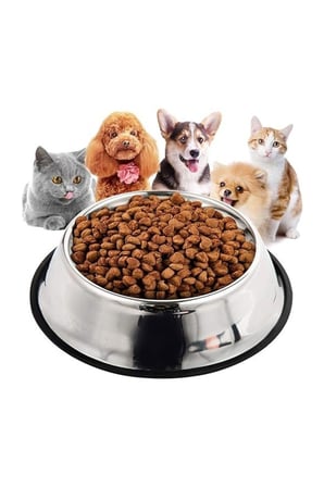 Paslanmaz Çelik Kedi Mama Ve Su Kabı, Köpek Çelik Mama Kabı, Kaymaz Lastikli Taban, Dayanıklı Besleme Tası, Kolay Temizlenebilir, 16 oz/500 ml (2 Adet) (2 Adet 22 Cm)