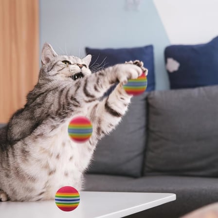 Kedi Oyuncak Topu – 4'lü Sünger Top Seti – Renkli ve Hafif Köpük Toplar – Dayanıklı, Güvenli ve Eğlenceli Kedi Oyun Topları – Evcil Hayvan Etkinlik Oyuncağı