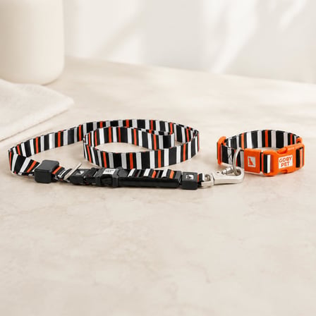 Airmesh Köpek Gezdirme Boyun Tasma Seti XS - Küçük Irk Köpek ve Kedi Gezdirme Tasması (Nefes Alabilen File Kumaş, 3-5 kg)(çizgili)
