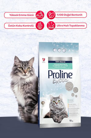 Extra Sodıum Bentonite Gri Bentonit Topaklaşan Kedi Kumu 10 L