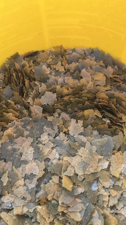 Sera San Nature 50 gr Brüt Açık