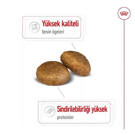 Royal Canin Büyük Irklar için Yetişkin Kuru Köpek Maması 15 Kg