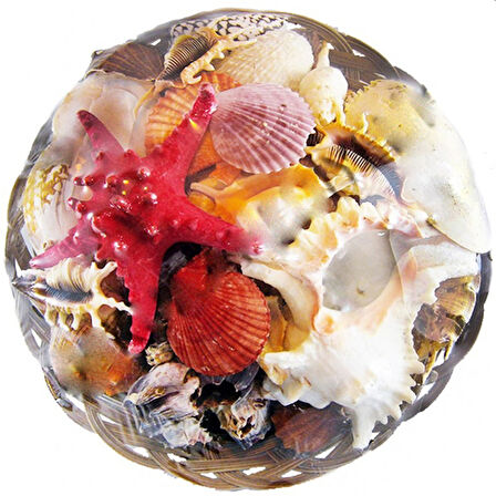 Fruit Of The Sea 35 CM