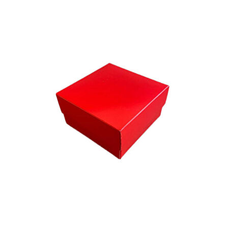 Komple Karton Kutu Düz Renk 10X10x5 CM  (25 Adet)  Kırmızı