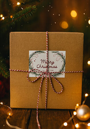 14 Parça Yılbaşı Hediye Kutusu Noel Temalı Dekoratif Set Yılbaşı Süsleri Yeni Yıl Hediyesi