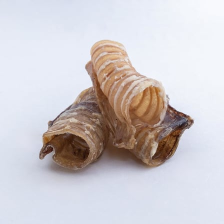Dana Trake Çıtırı 100% Doğal Katkısız Köpek Ödül Maması 100 Gr