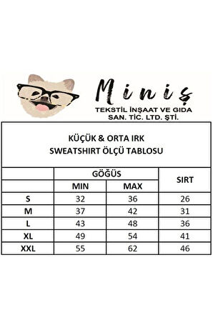 MAVİ WELSOFT TURTLE KEDİ KÖPEK SWEATSHIRT