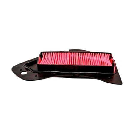 Motobir Hava Filtresi Ramzey 125T-D 10V 10H 10E