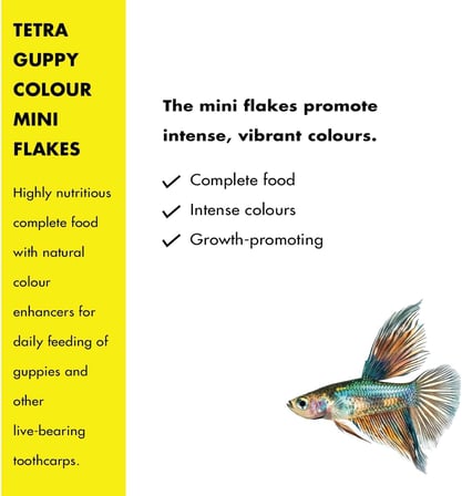 Tetra Guppy Colour Mini Flakes Pul Lepistes Yemi 100ml