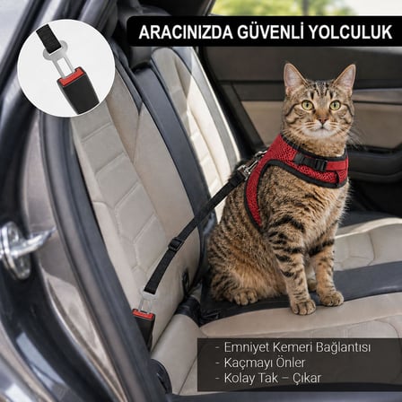Kaçış Önleyici Kedi Gezdirme Tasması Ve Küçük Irk Köpek Gezdirme Tasması Kedi Göğüs Tasması Seti (Medium)
