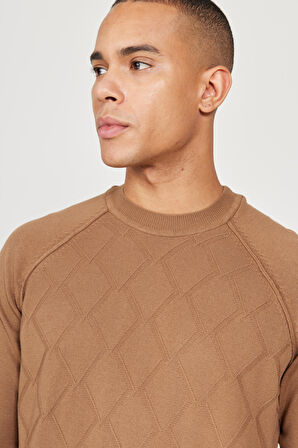 Erkek Vizon Standart Fit Normal Kesim Bisiklet Yaka Jakarlı Triko Kazak