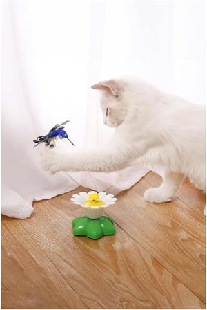 Hareketli Kedi Oyuncağı Dönen Kuş Başlıklı (Pille Çalışır)