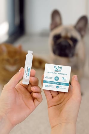 Kedi Köpek Worm Stop İç Dış Parazit Damla Tablet Seti