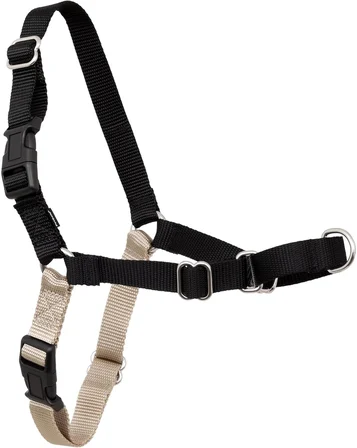 Easy Walk No-Pull Köpek Göğüs Tasması, Çekmeyi Önlemeye Yardımcı, Kontrolü Ele Alın ve Tasmayla Daha İyi Yürümeyi Öğretin, Evcil Hayvanların Çekmesini Önlemeye Yardımcı, Petite/S, Siyah/Gümüş