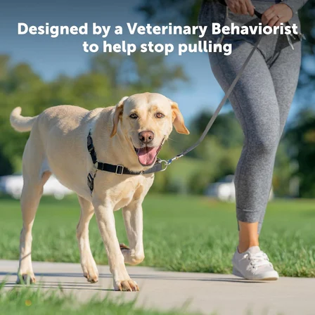 Easy Walk No-Pull Köpek Göğüs Tasması, Çekmeyi Önlemeye Yardımcı, Kontrolü Ele Alın ve Tasmayla Daha İyi Yürümeyi Öğretin, Evcil Hayvanların Çekmesini Önlemeye Yardımcı, Petite/S, Siyah/Gümüş