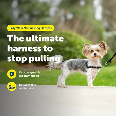 Easy Walk No-Pull Köpek Göğüs Tasması, Çekmeyi Önlemeye Yardımcı, Kontrolü Ele Alın ve Tasmayla Daha İyi Yürümeyi Öğretin, Evcil Hayvanların Çekmesini Önlemeye Yardımcı, Petite/S, Siyah/Gümüş