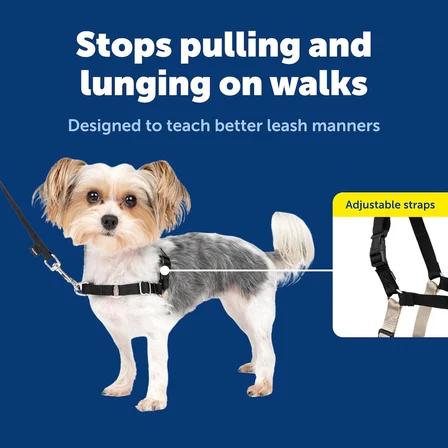 Easy Walk No-Pull Köpek Göğüs Tasması, Çekmeyi Önlemeye Yardımcı, Kontrolü Ele Alın ve Tasmayla Daha İyi Yürümeyi Öğretin, Evcil Hayvanların Çekmesini Önlemeye Yardımcı, Petite/S, Siyah/Gümüş