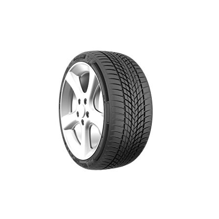 Milestone 205/60R16 92H CarMile Winter (Kış) (2025)