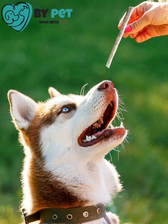 Doğal İşkembeli Köpek Ödül Maması, Köpek Munchy Çubuk 40 Adet