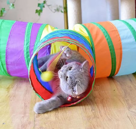 Renkli Kedi ve Köpek Oyun Tüneli – Katlanabilir T Model – 3 Girişli Tasarım – Dayanıklı Plastik – Eğlenceli Evcil Hayvan Oyuncağı – 60x80x30 cm